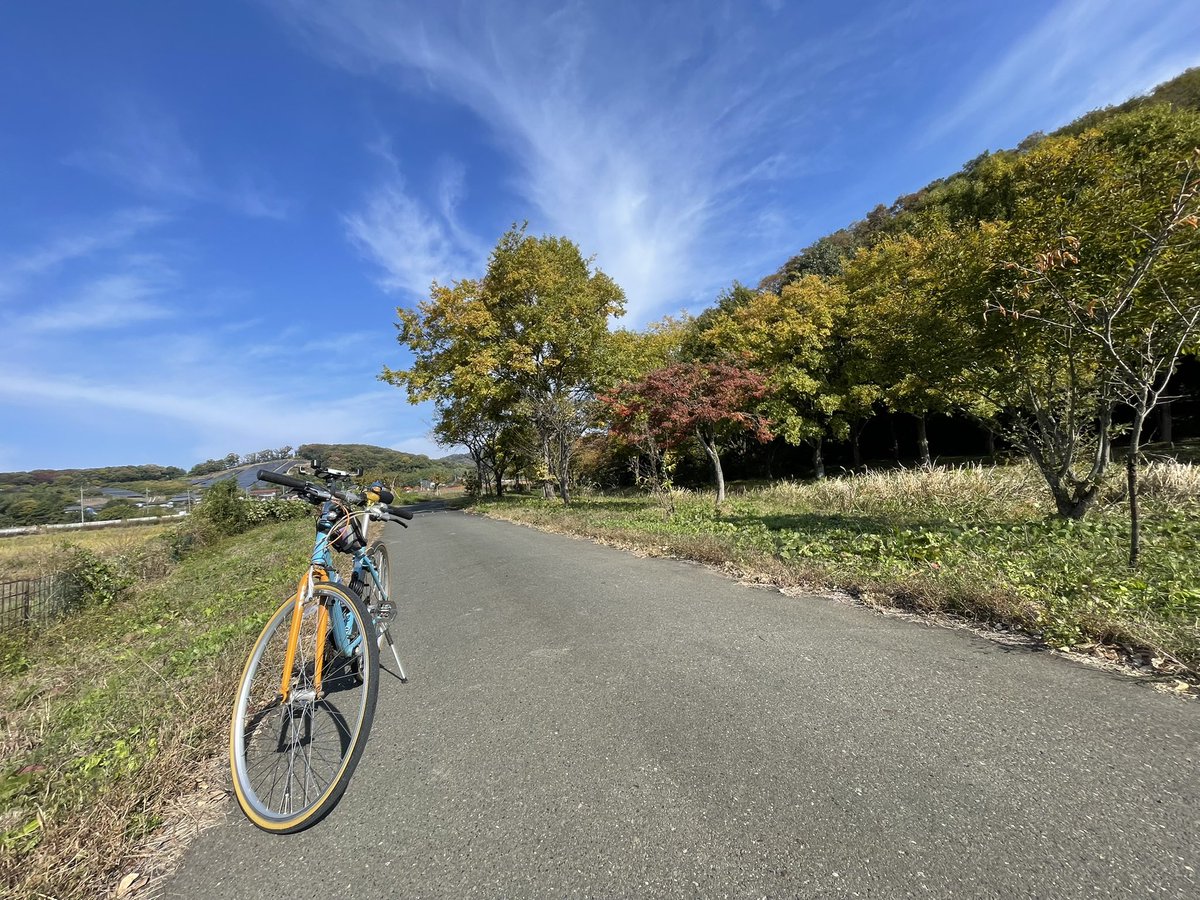 roymona67's tweet image. 朝から🚲気持ちいい日だった
昼は大間々店の準備して
夕方はずっとパソコン作業
休みの日のが忙しいん
段取りが悪いから😰
#休日ワークアウト
#クロスバイク
#R71120キロ