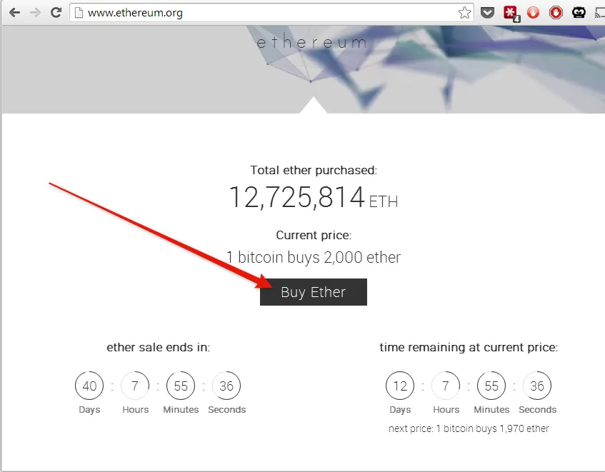 FORBIDDENONE tweet media