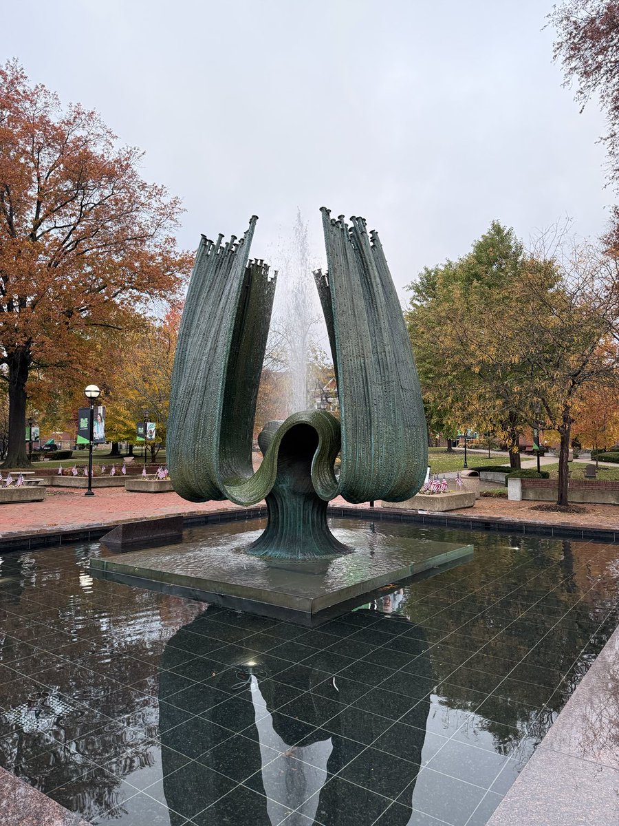 Steve Cotton tweet media