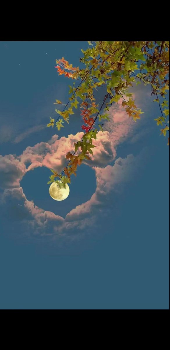 2개월 현생으로 바빠서 못하다가 이제 다시 해볼려고 합니다