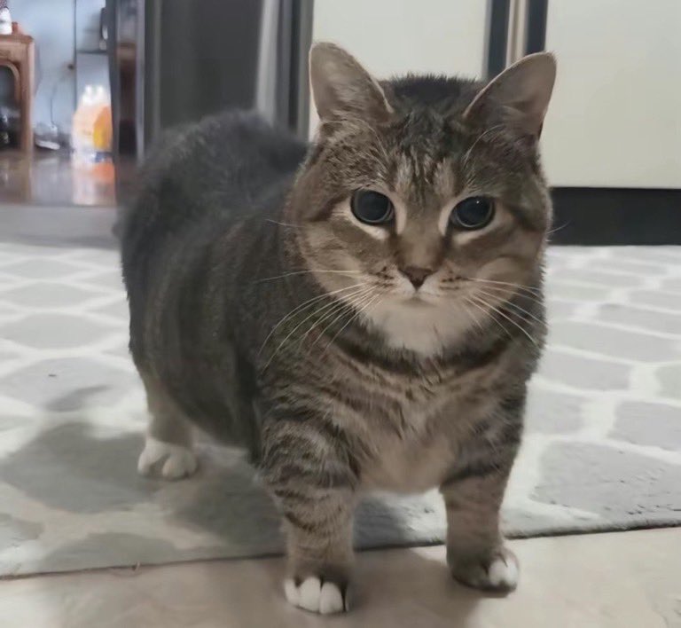 GGfarm-___- tweet media