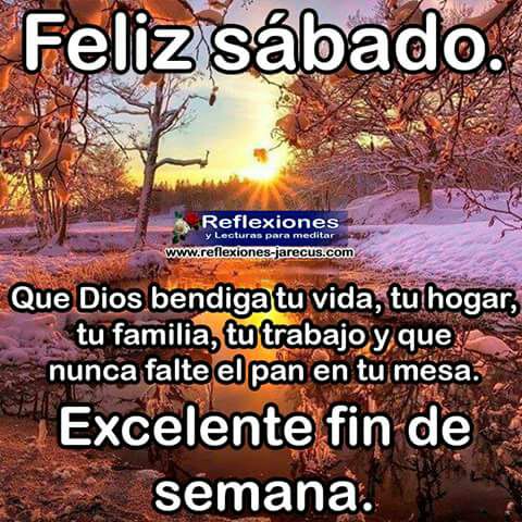 Vibrant sunset with orange and yellow hues illuminates a landscape of tall trees with autumn-colored leaves in the foreground and background. Overlaid text in bold letters reads Feliz sabado with repetition effects and Reflexiones para meditar website credit at the bottom. Additional text states Que Dios bendiga tu vida tu hogar tu familia tu trabajo y que nunca falte el pan en tu mesa followed by Excelente fin de semana with repetition.
