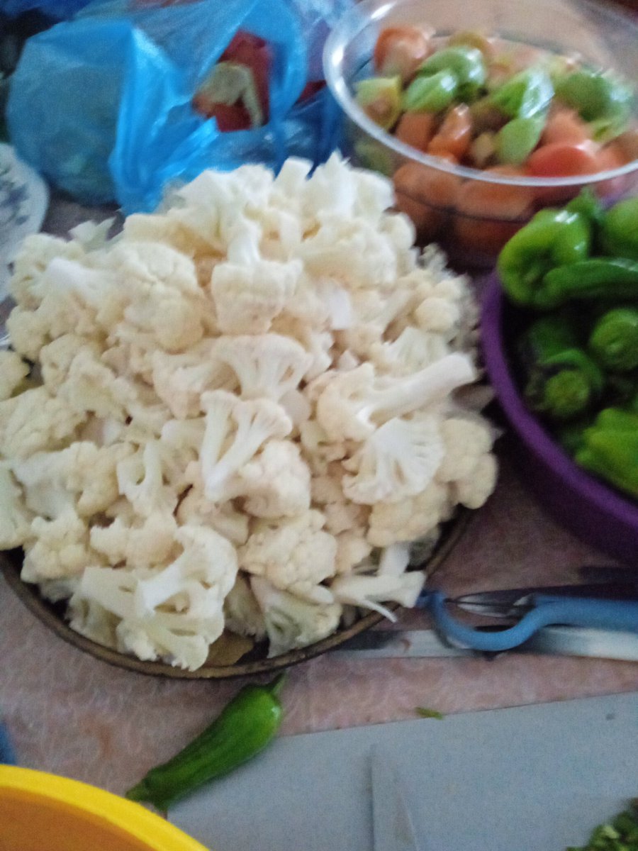 Turşu yapıyorum yazma..