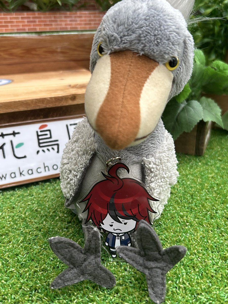 犬猫類 (@inuneko35) on Twitter photo 