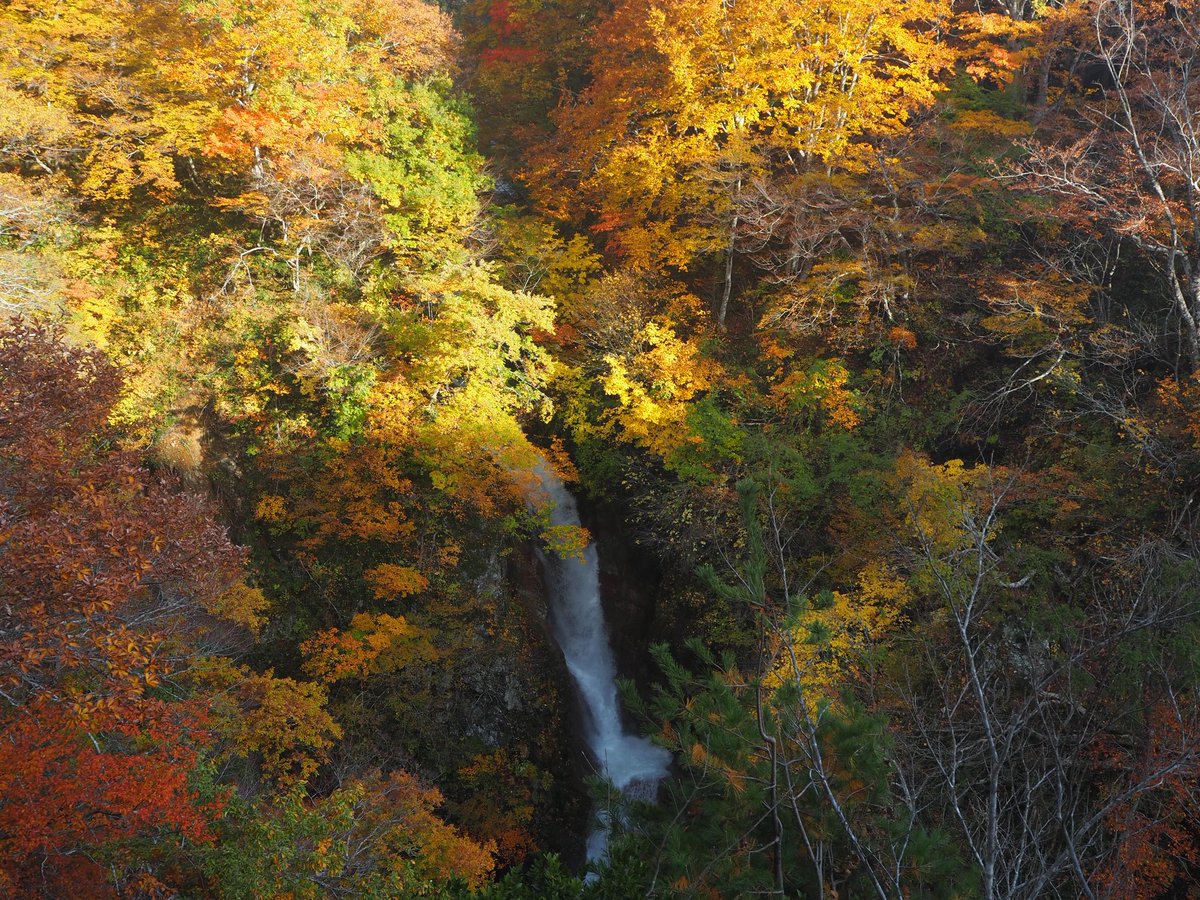 紅葉行って来た‼︎
みんな紅葉を見に行こうようなんてね
