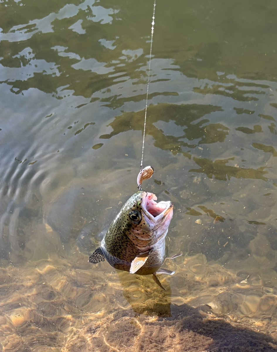 釣り好き🫥 (@turisuki_0831) / Posts / X