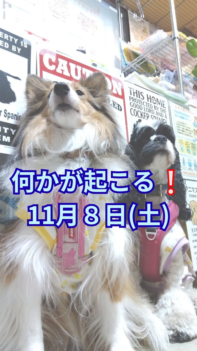 へちまこ7 (@Chicoli07) / Posts / X