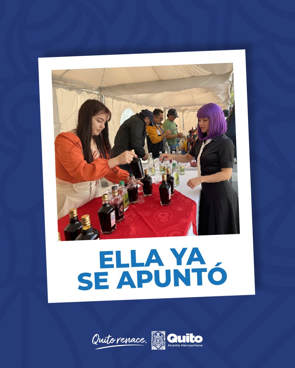 💃 #ShakiraEnQuito | “Siento que empiezo a entender…” tengo el presentimiento de que Quito va a brillar más que nunca.

Entre música, emociones y la feria del boulevar  de las Naciones Unidas, la ciudad más linda del mundo está lista para cantar a todo pulmón.

#QuitoRenace