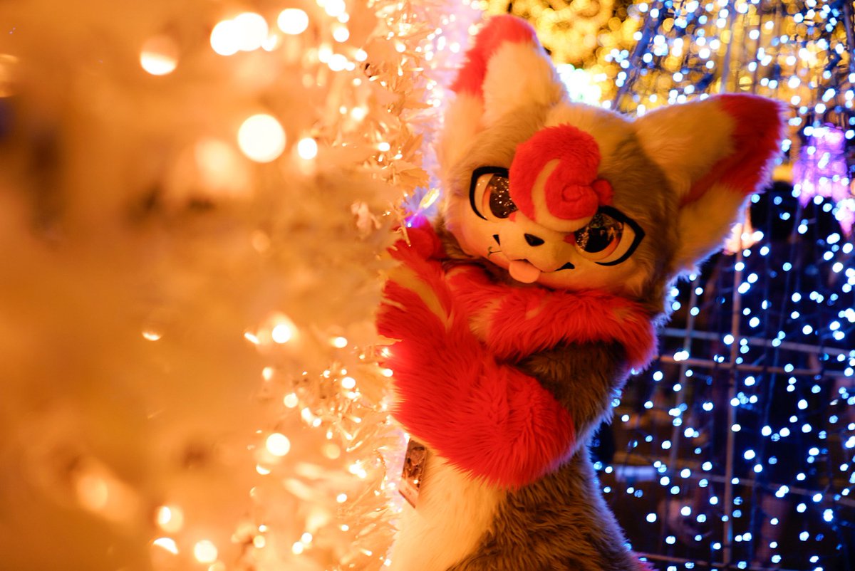 キラキラ道✨
#kemocon18