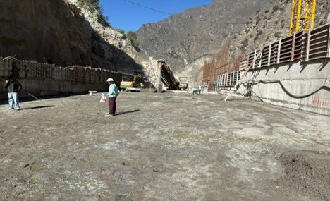 CVPP Limited tweet media