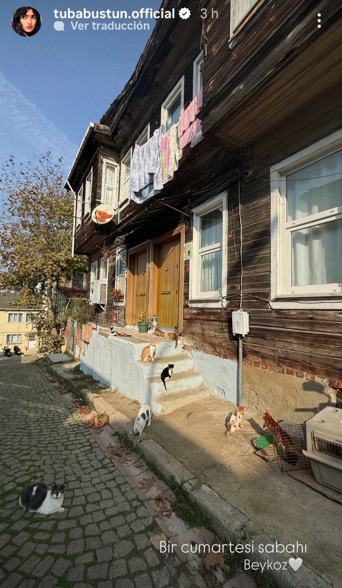 En un sábado por la mañana 🤍

Aquí nos tienes esperando... 😔 hermosa ❤️

#TubaBüyüküstün