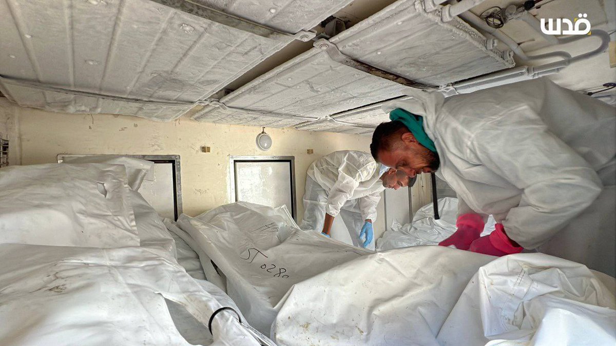 Hakeam_ps's tweet image. وزارة الصحة في غزة

التعرف على 89 جثمانا فقط من أصل 300 أفرجت عنها سلطات الاحتلال