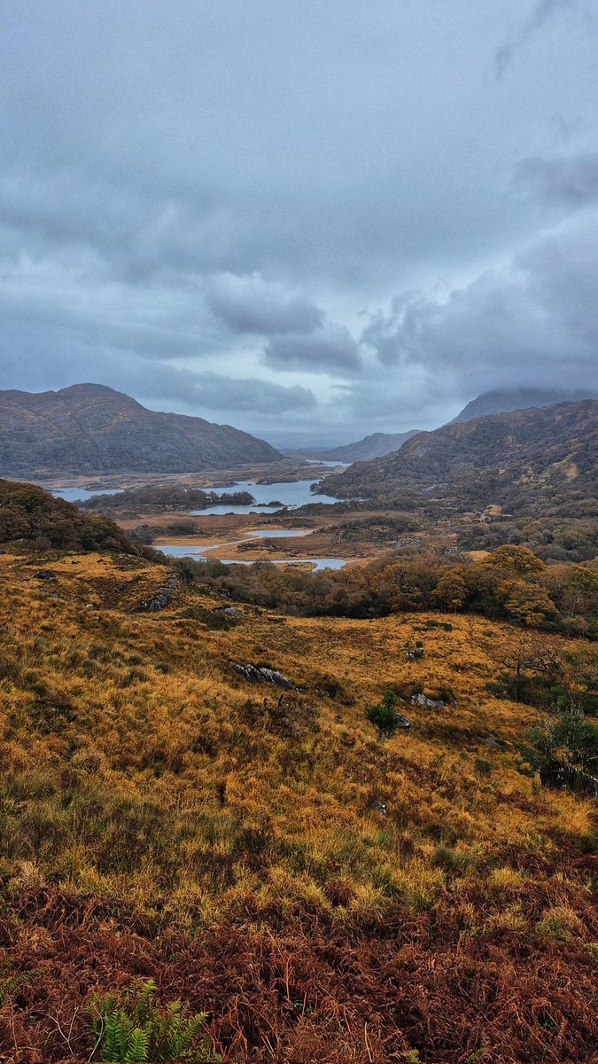Good afternoon from Ireland 🇮🇪