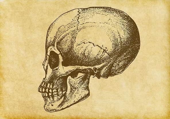 Struggling with TMJ dysfunction? I share my personal journey and professional expertise as a Clinical Massage Therapist. Discover how targeted techniques can bring you relief. Read more: wix.to/YijT6jL #TMJDysfunction #MassageTherapy