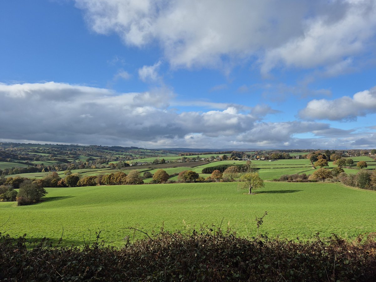 Autumn walk from my doorstep