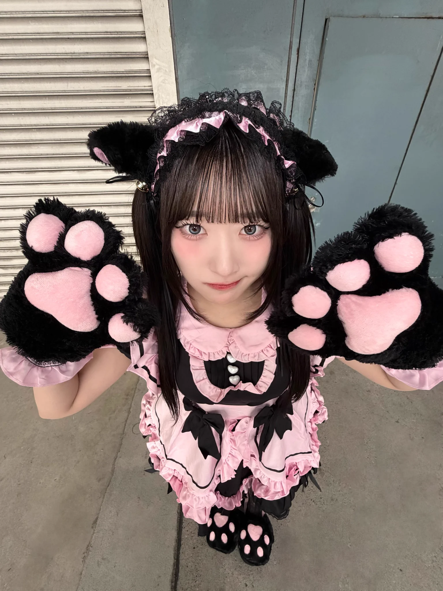 齋藤樹愛羅 猫衣装 直筆 齋藤 樹愛羅 on X: 