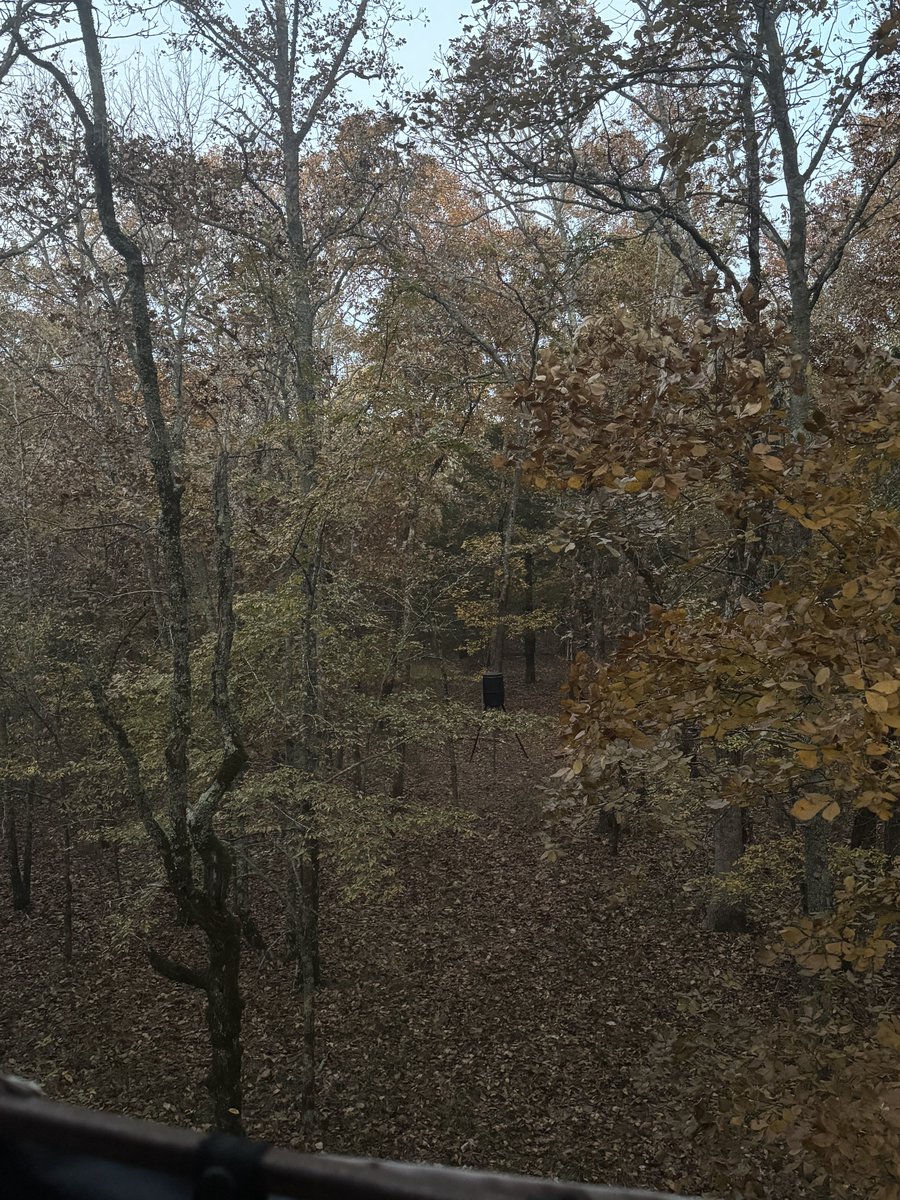 rusticfireman's tweet image. Good morning from GODS COUNTRY.