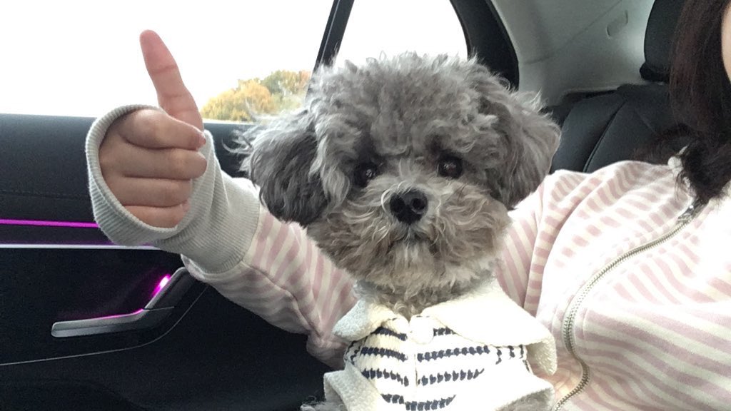 よい.. tweet media