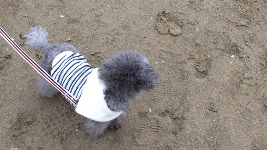 よい.. tweet media