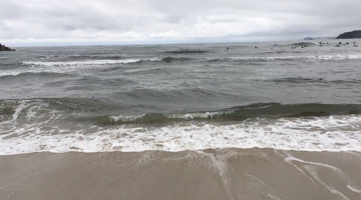 よい.. tweet media