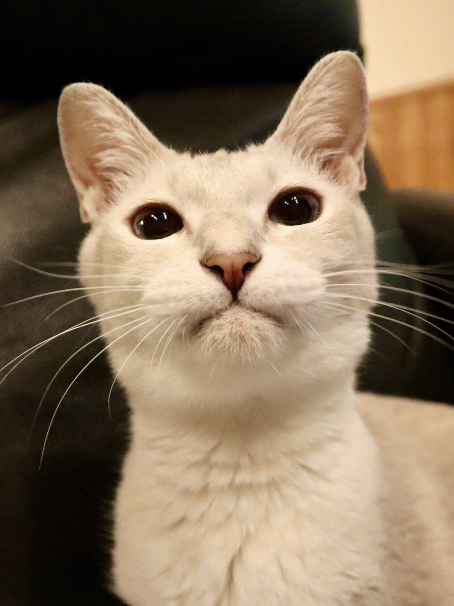 ちち💙💎🫧 (@love32chichi) / Posts / X