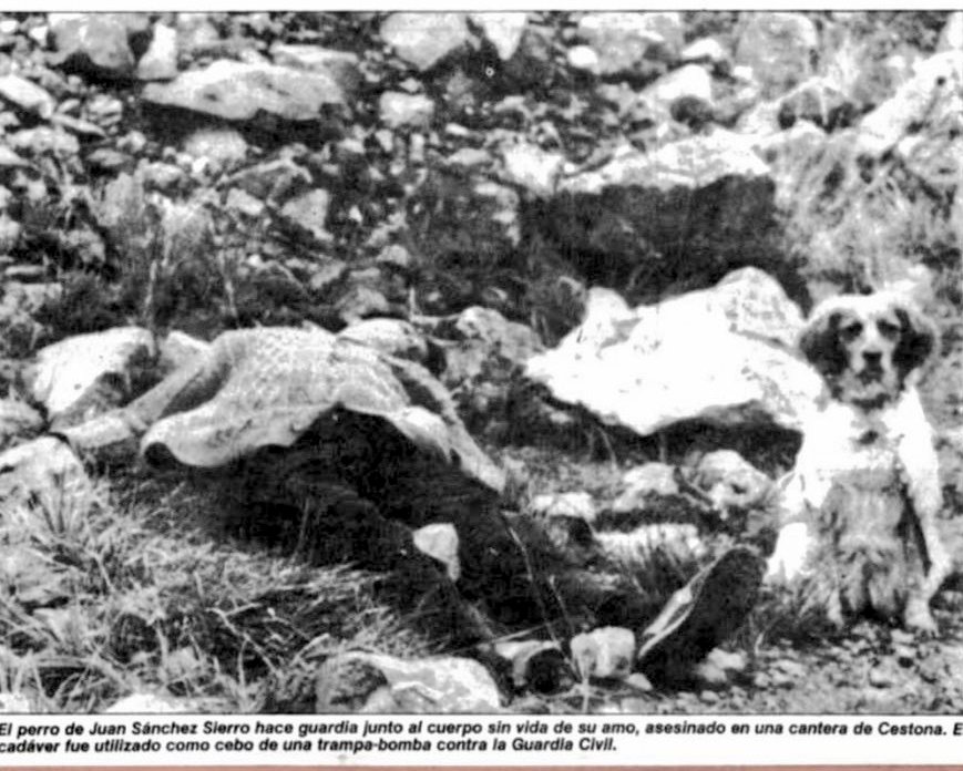 "Su perrita 'Becky' estuvo 6 horas guardando el cadáver y lamiendo sus heridas"
D. Juan Sánchez Sierro secuestrado y asesinado con 3 balazos en la cabeza en Cestona por los cobardes de ETA

"Su padre se tuvo que marchar 7 años antes amenazado por ETA"
mapadelolvido.blogspot.com/2012/06/juan-s…