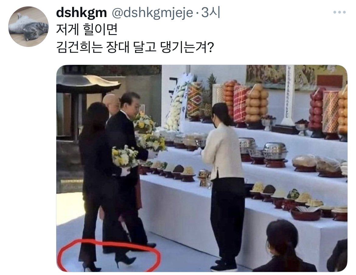 여자 힐이랑 비교하는 이 병신 좀 보소 ㅋㅋ
그래 느그 재명이 드랙퀸 하라해