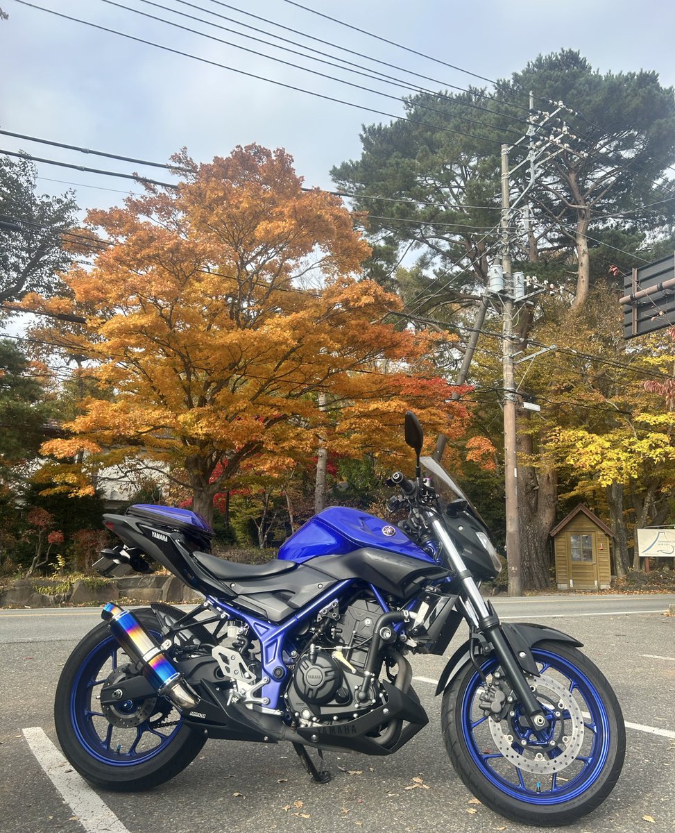 さな🐈‍⬛ tweet media