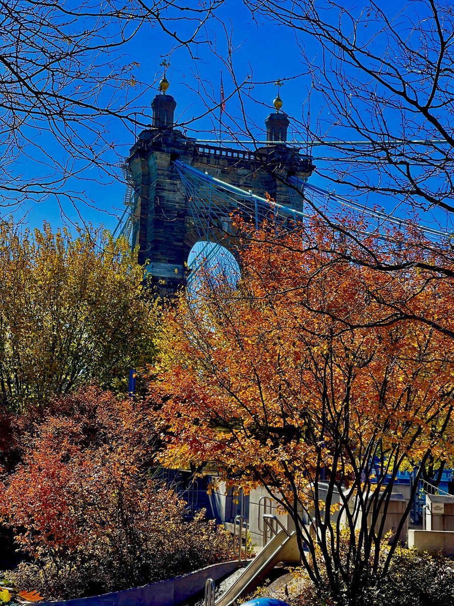 Fall in Cincinnati 🍁
#autumncolors #fallincincinnati #loveourcity