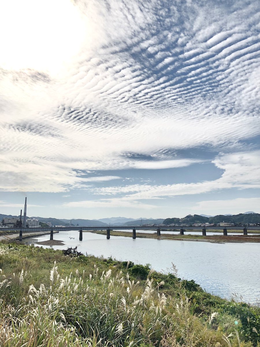 竹内宏美 tweet media