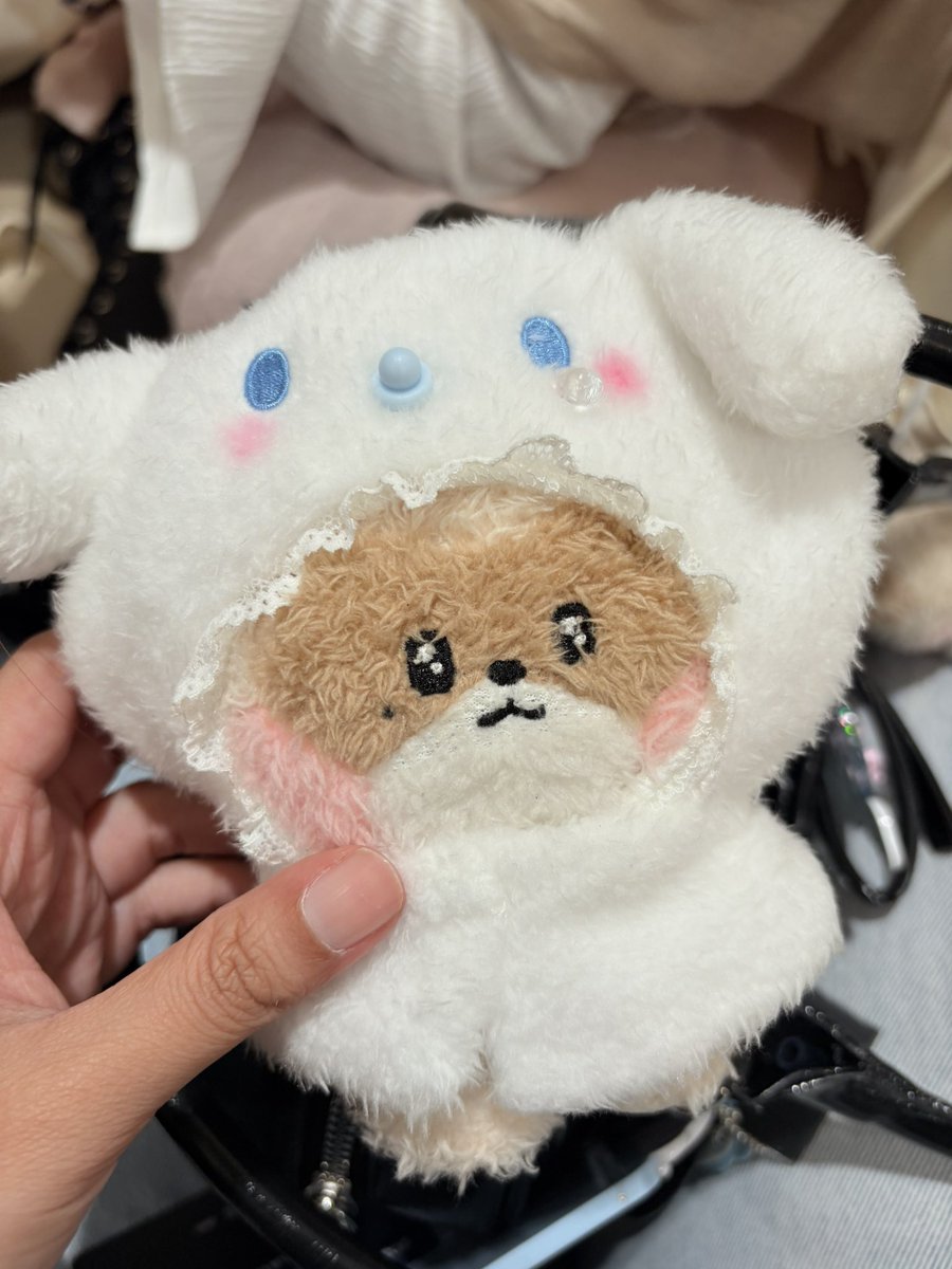 insidehao's tweet image. ZHANG HAO NOTICED MY CINNAMOROLL HANINI 😭😭❤️

#ZHANGHAO #ZB1inKL #ZEROBASEONE