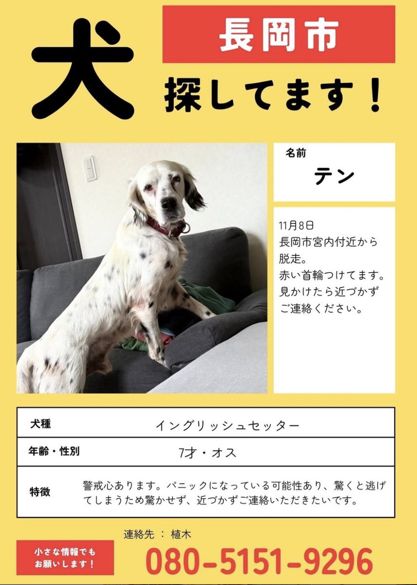新潟動物ネットワーク tweet media