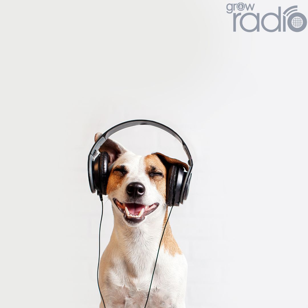 GrowRadioUK's tweet photo. In this blog… we look at some of the different ways you can make the most out of your podcast!

Take a look here 👉 https://t.co/LmmEyzJS5z

#Podcast #Marketing #Podcasting #PodcastTips #podcastersofinstagram #podcasttraining #podcastmarketing #podcastmarketingtips https://t.co/gUK4Yo5SBX