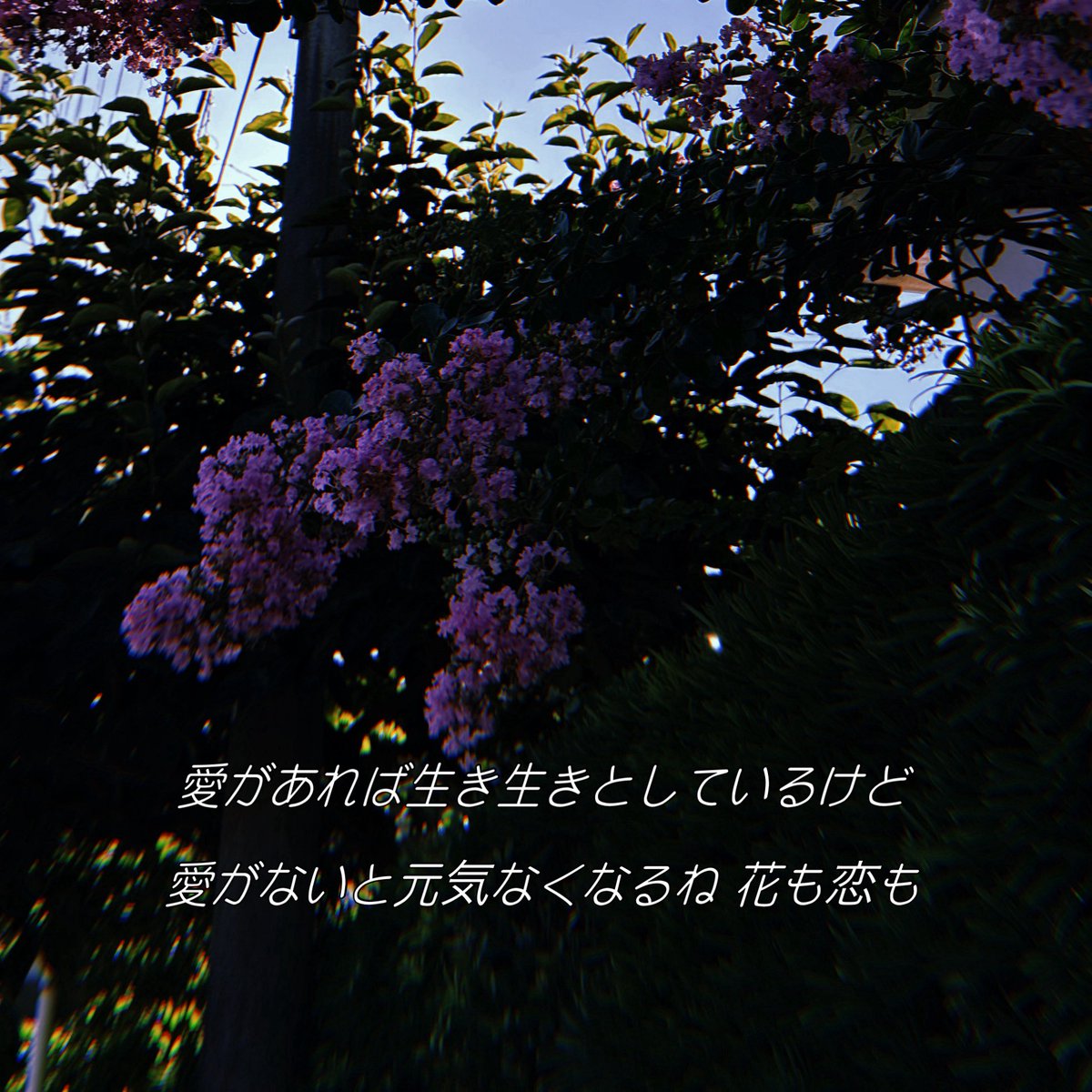 Maria⋆*❁*⋆ฺ（感謝） まさを on X