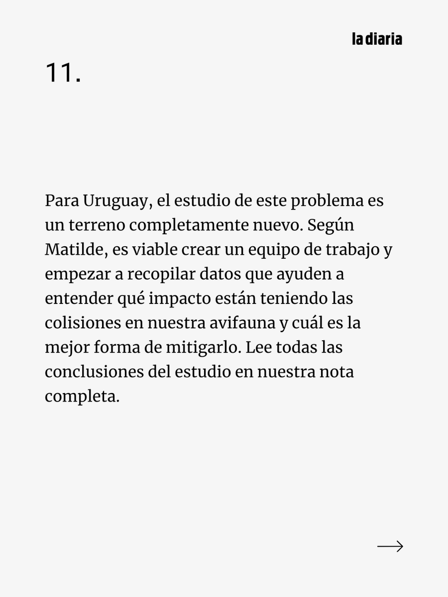 ladiaria's tweet photo. ✍🏽 @martinotheguy
📸 [Tapa] @giannischiaffarino [1-9] @martinotheguy [10] Lucía Rodríguez-Tricot (NaturalistaUY)

Leé más en nuestra nota:
https://t.co/CQ021iz3Le

#Aves #Colisiones #MatildeAlfaro #Uruguay #Neotropical #Ornitología #Conservación #MedioAmbiente #Investigación #Ciencia #LaDiaria #CURE #Migración #Ventanas #Centroamérica #Sudamérica
