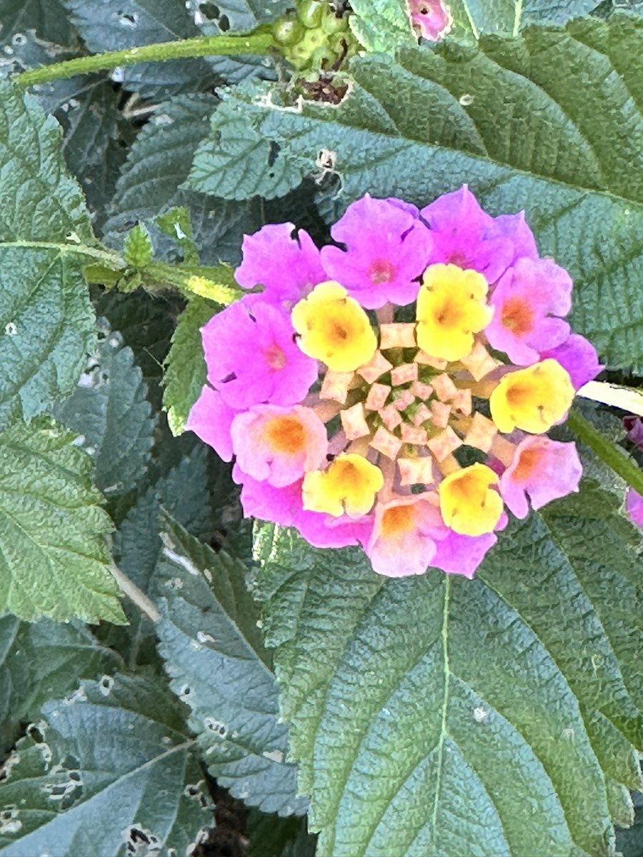 “Güzel hayat isteyen, 
güzel insan biriktirsin.”
Cemal Süreya