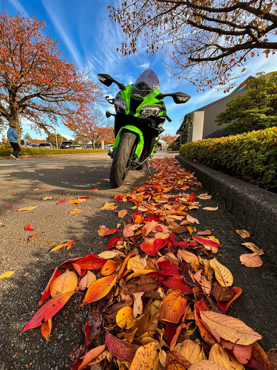 chiro＠しらたま on X