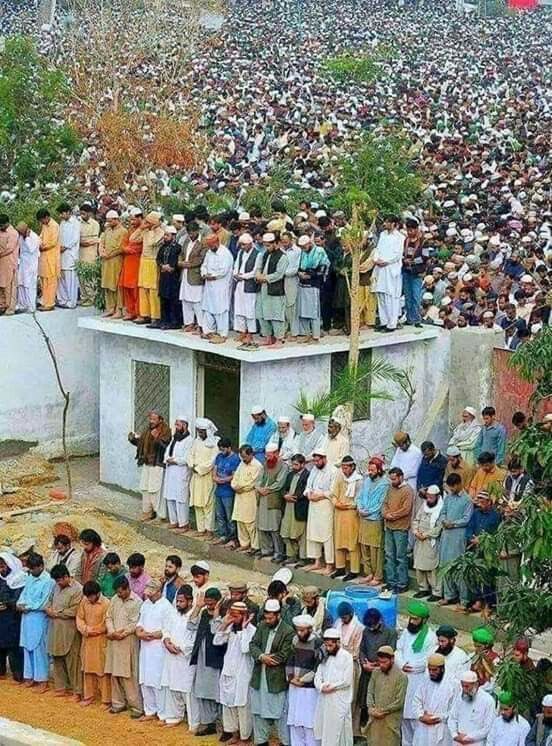 Halal Nation ☪︎ tweet media