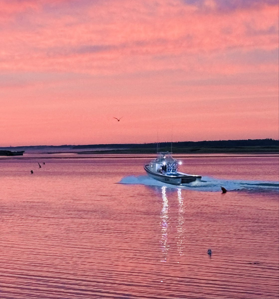 Brenda Potter Phelan 🇨🇦🇺🇦 tweet media