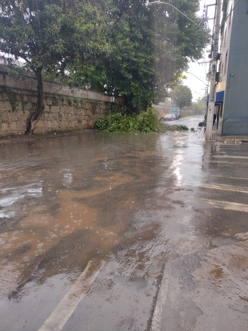 correiodeminas's tweet image. Árvore despenca sobre veículo durante forte chuva em Lafaiete; INMET alerta para tempestade e queda de granizo #correiodeminas

#alerta #tempestade #queda #granizo #queda #arvore #correiodeminasonline

correiodeminas.com.br/2025/11/08/arv…