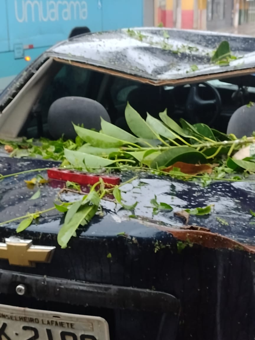 correiodeminas's tweet image. Árvore despenca sobre veículo durante forte chuva em Lafaiete; INMET alerta para tempestade e queda de granizo #correiodeminas

#alerta #tempestade #queda #granizo #queda #arvore #correiodeminasonline

correiodeminas.com.br/2025/11/08/arv…