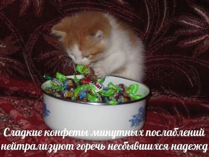 аконитовое зелье (@akonitmood) on Twitter photo 