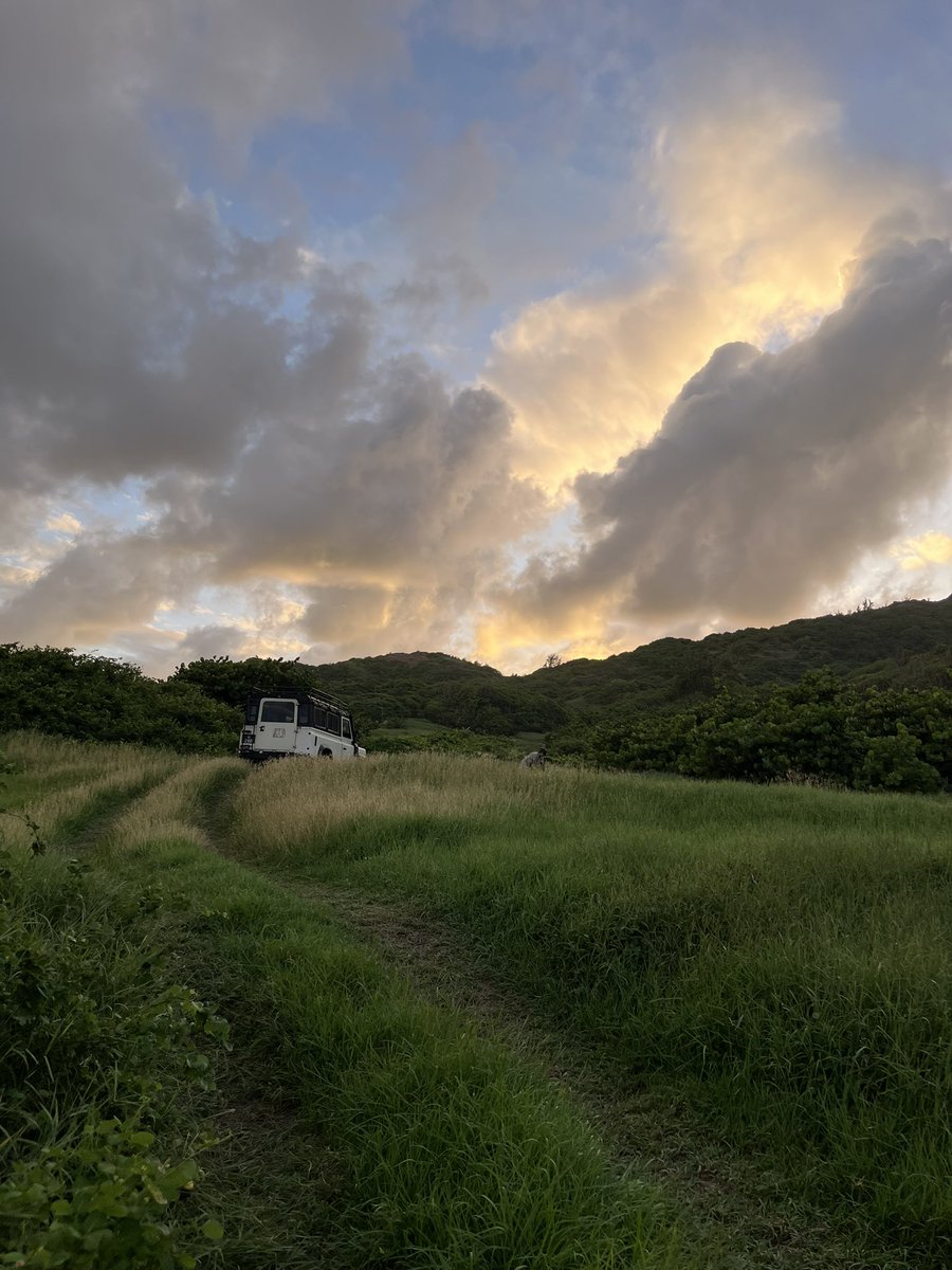 NAETHEDESIGNR's tweet photo. 🇧🇧 views https://t.co/sE5YwVg0aN
