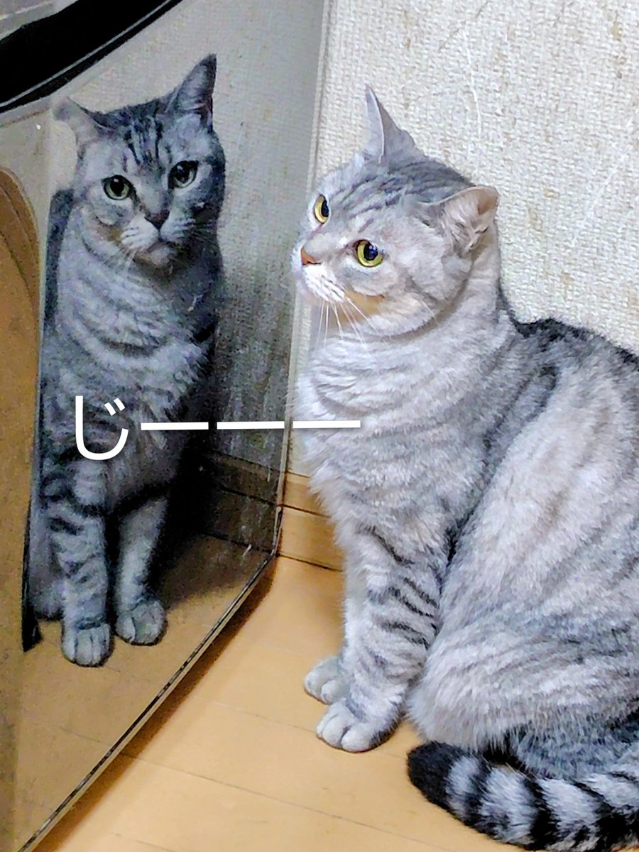 はるちゃんねる on X