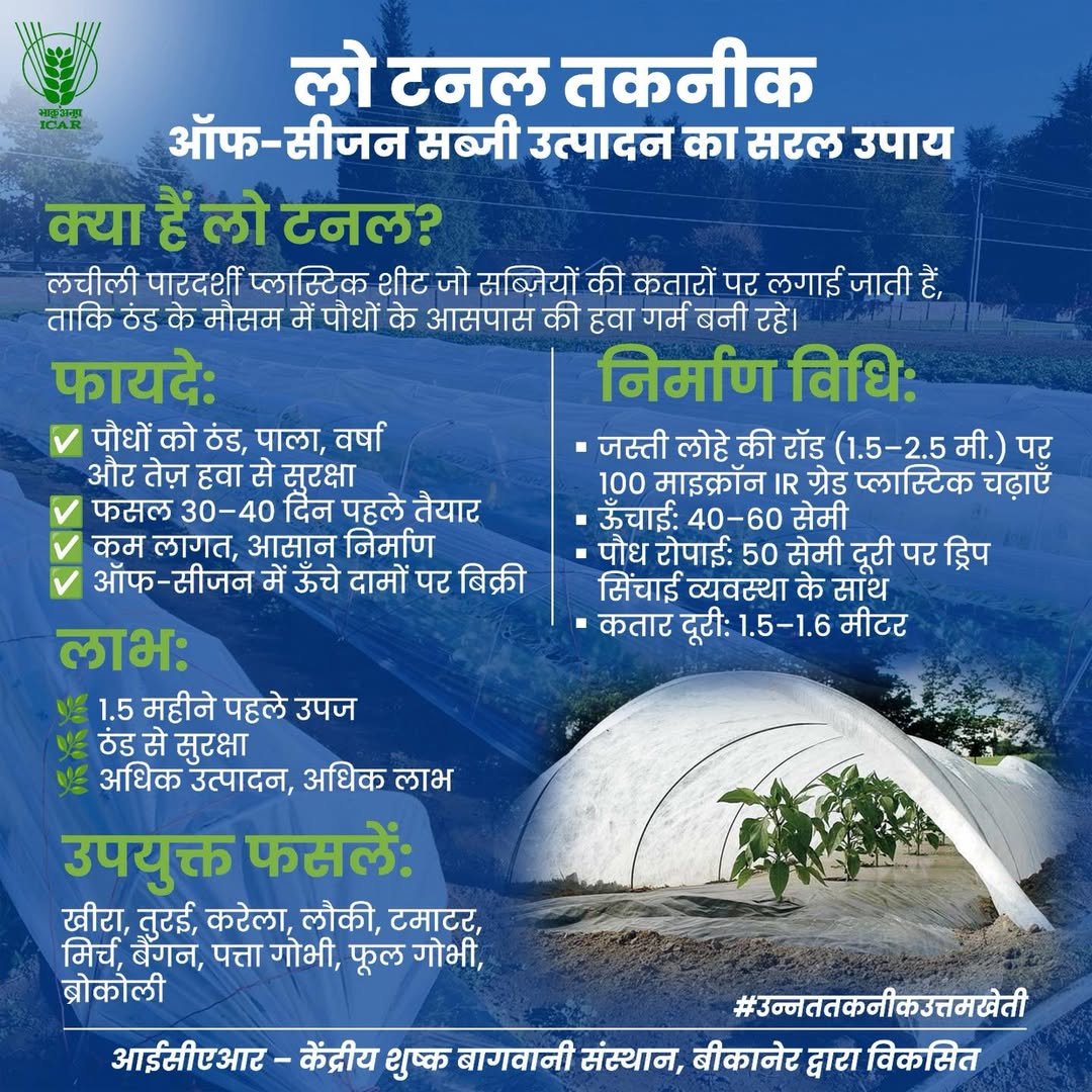 PotliNews's tweet image. लो टनल तकनीक...
ऑफ-सीजन सब्जी उत्पादन का सरल उपाय🌱🌿☘️

#NewsPotli #FarmingTips #AgriTech #vegetablefarming