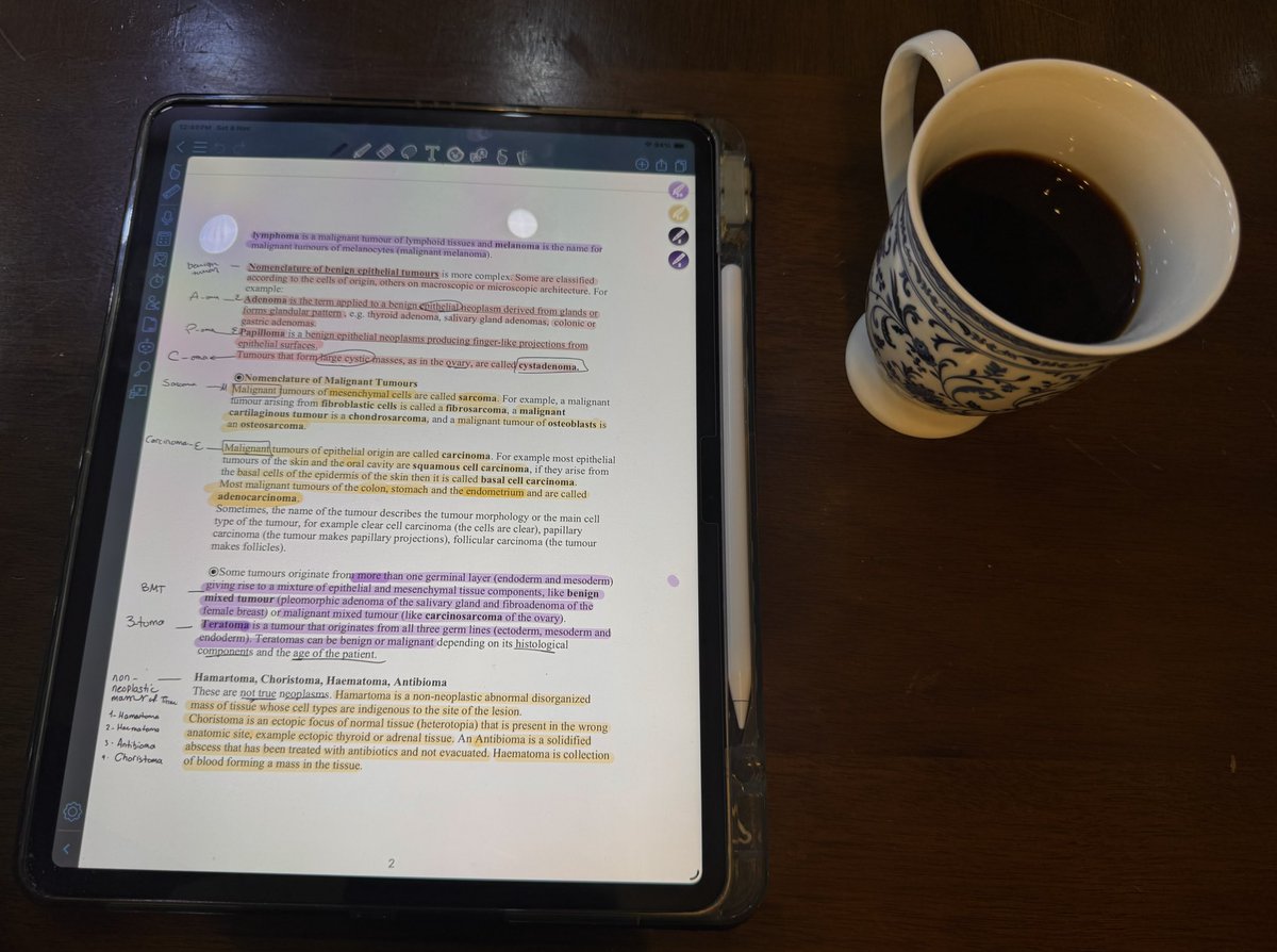 studywithvee's tweet image. Saturday patho shenanigans 🌀

#studytwt #pathology #unitwt