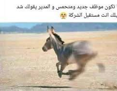 الي يدوام صباح يوم السبت نفسي 

هذا الشخص يتقبل جميع مشاكل المجتمع