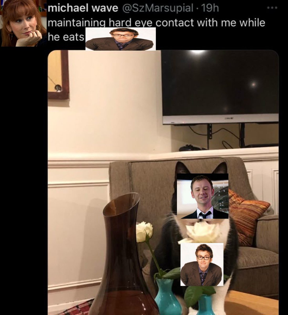 ✧ ˚. comfort for tensaxon stans (@tensimmarchive) on Twitter photo 