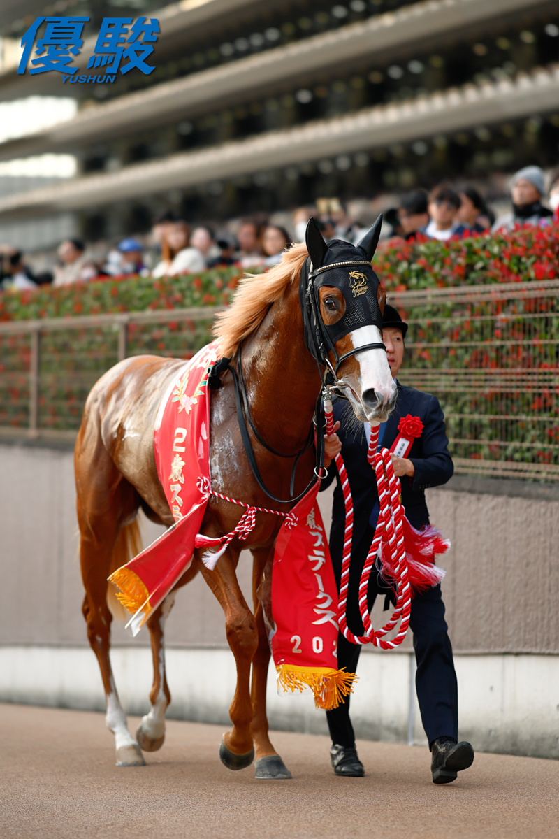 優駿』編集部 on X