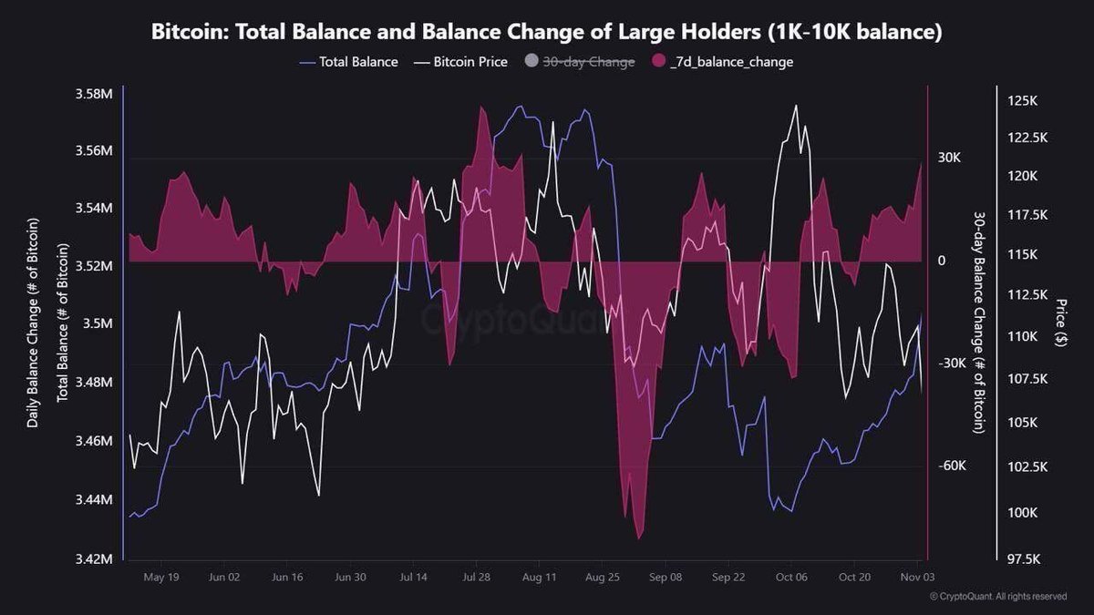 Cryptodecoder0x's tweet image. Whales Are Buying the Dip

This week, wallets holding 1K-10K BTC accumulated nearly 30K BTC, roughly $3 billion worth. While retail traders are panicking, smart money is quietly stacking. Historically, such aggressive whale accumulation has often come right before major market…